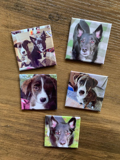 Choose your Photo Magnets here. Simply choose 6 or 12 accordingly.